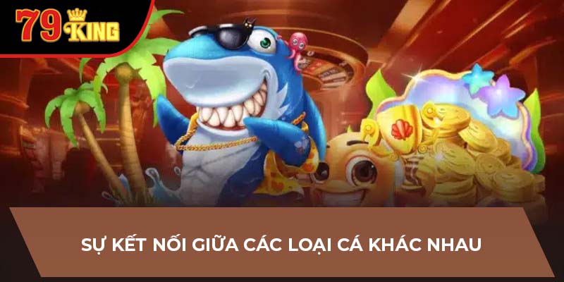 Sự kết nối giữa các loại cá khác nhau