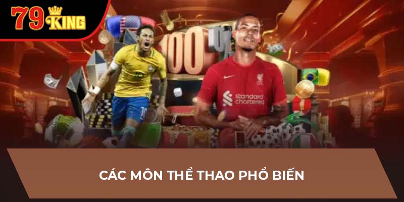 Các môn thể thao phổ biến